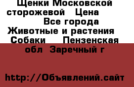 Щенки Московской сторожевой › Цена ­ 35 000 - Все города Животные и растения » Собаки   . Пензенская обл.,Заречный г.